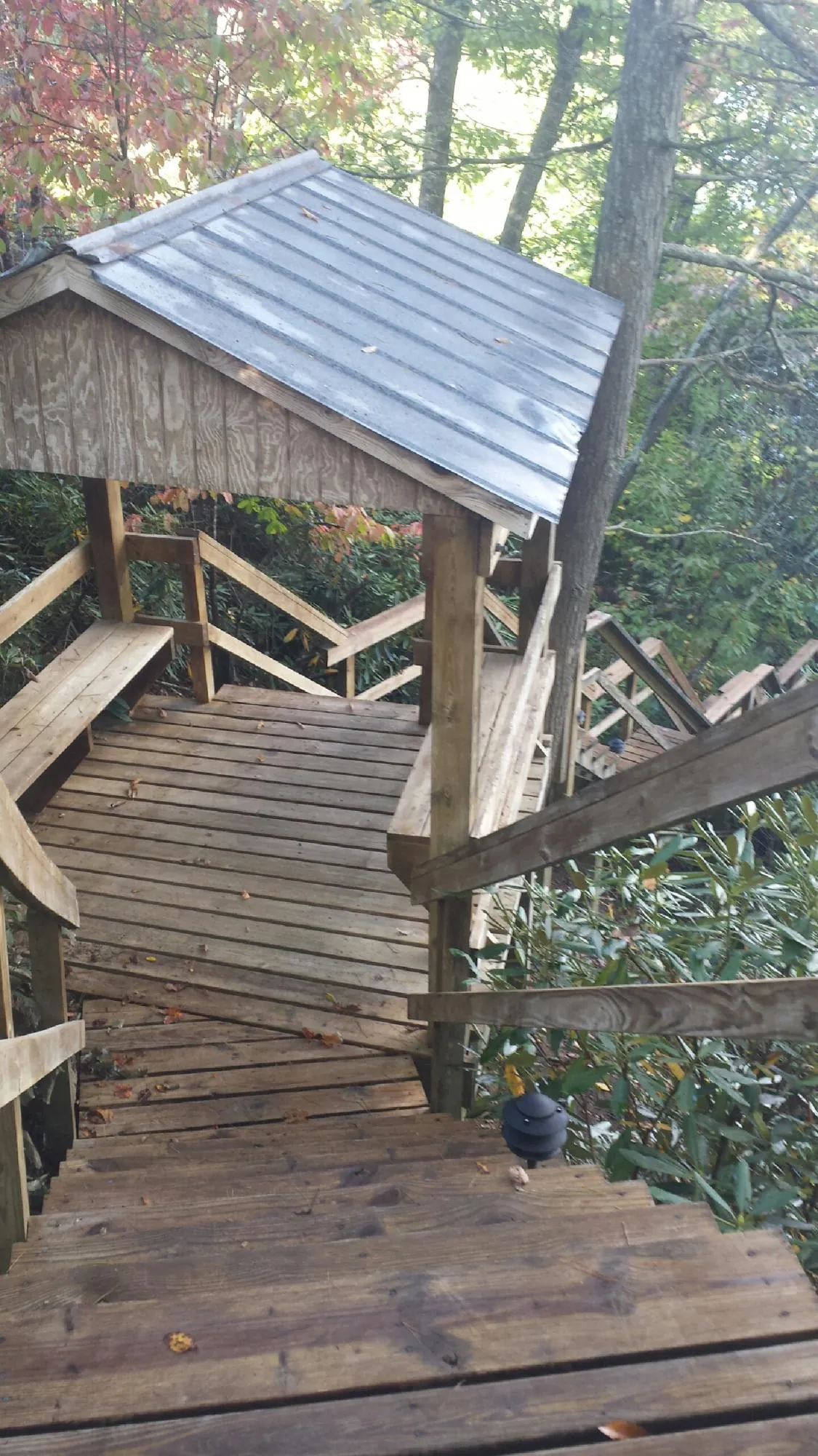 Metal roofed shelter over wooden steps on a wooded walkway — Skylight Repair & Installation work by our crew in Pamplico
